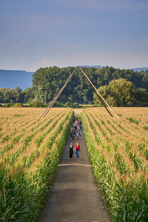 Gemeinde Atting Landkreis Straubing-Bogen Irrgarten Straubing (Dirschl Johann) Deutschland SR
